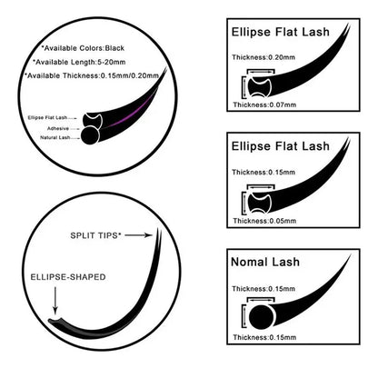 MASSCAKU Ellipse Flat